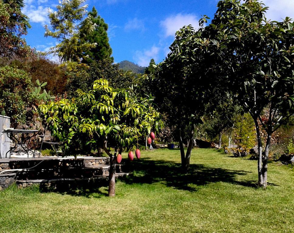 Feriendomizil Finca Tijarafe Mit Beheiztem, Abdeckbarem Pool ห้อง รูปภาพ